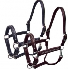 Leather Halters